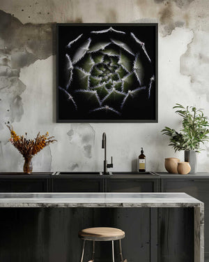 Tablou înramat „Sempervivum Rosette” de Victor Mozqueda