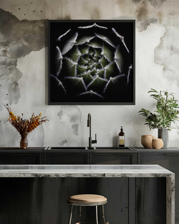 Tablou înramat „Sempervivum Rosette” de Victor Mozqueda