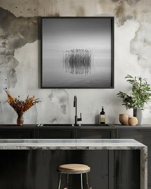 Tablou înramat „Black and White Silence” de George Digalakis