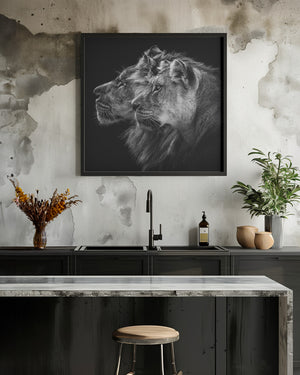 Tablou înramat „Lion and  lioness portrait” de Laurent Lothare Dambreville