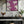Tablou înramat „Aubergine Islands” de Alyson Storms