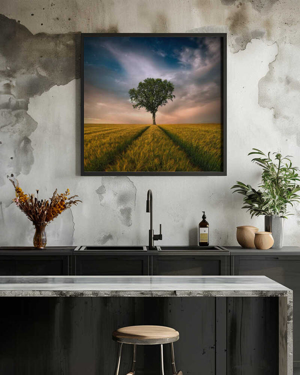 Tablou înramat „One” de Piotr Krol (Bax)