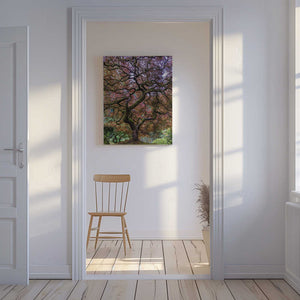 Tablou canvas „Japanese Maple Tree” de Mike Centioli