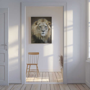 Tablou canvas „Portrait of a Young Male Lion” de Linda D Lester
