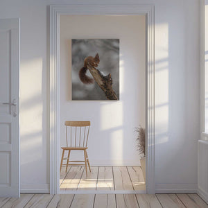 Tablou canvas „scoiattolo rosso” de Marco Barisone