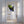 Tablou canvas „Vivid Bird Glance” de Shot by Clint