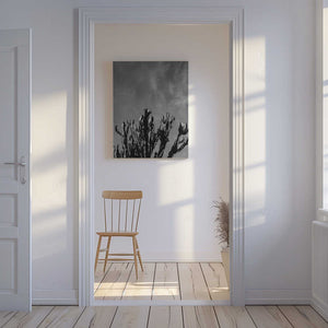 Tablou canvas „Monochrome Cactus Sky” de Bethany Young