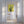 Tablou canvas „Yellow Cactus” de Lila & Lola