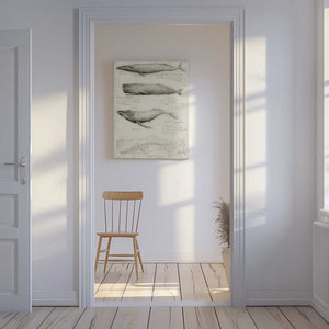 Tablou canvas „Sketches Of Various Whale” de Mike Koubou