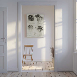 Tablou canvas „Various Botanical Mushrooms” de Mike Koubou