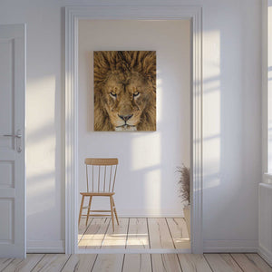 Tablou canvas „Serious Lion” de Mike Centioli