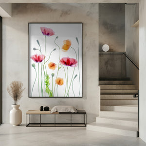 Tablou înramat „Poppies” de Mandy Disher
