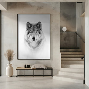 Tablou înramat „Portrait of a Timber Wolf” de Jim Cumming