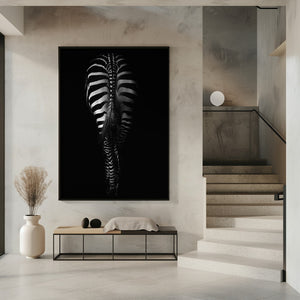 Tablou înramat „Untitled” de Antonio Grambone