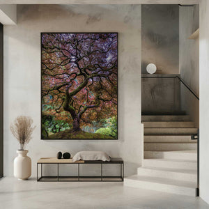 Tablou înramat „Japanese Maple Tree” de Mike Centioli