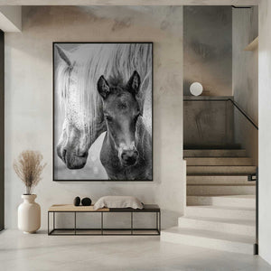 Tablou înramat „The Foal” de Jacky Parker