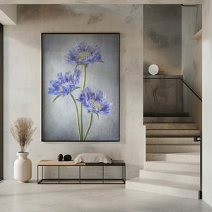 Tablou înramat „Scabiosa” de Mandy Disher