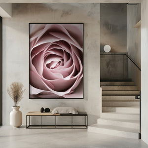 Tablou înramat „Pink Rose No 04” de Pictufy Studio III