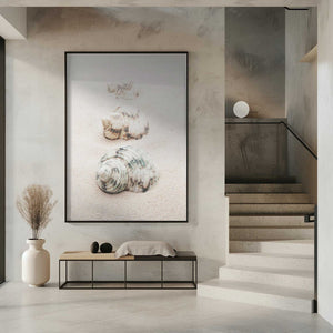 Tablou înramat „Shells” de Pictufy Studio III