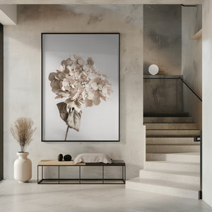 Tablou înramat „Beige dried flower” de Pictufy Studio III