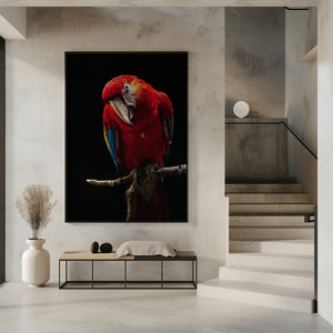 Tablou înramat „Portrait of Scarlet Macaw” de Andi Halil