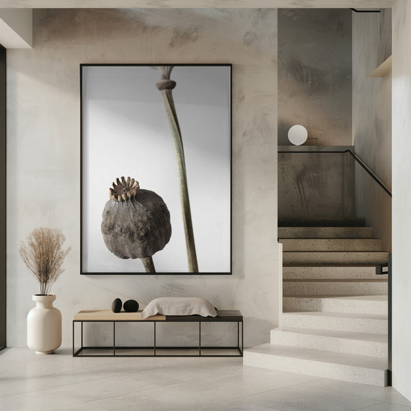 Tablou înramat „Dried_005” de Pictufy Studio III