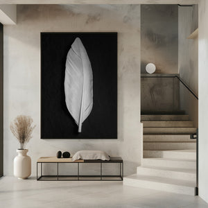 Tablou înramat „Feather_008” de Pictufy Studio III