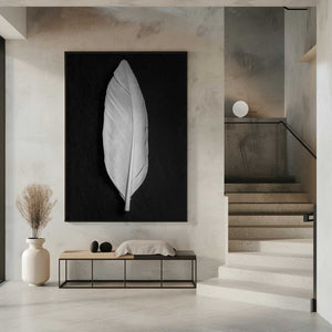 Tablou înramat „Feather_008” de Pictufy Studio III