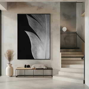 Tablou înramat „Feather_005” de Pictufy Studio III