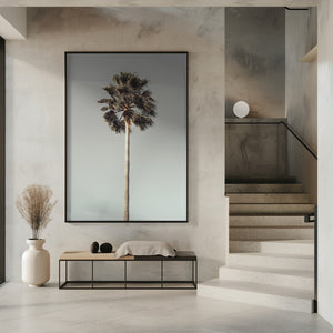 Tablou înramat „Palm_001” de Pictufy Studio III