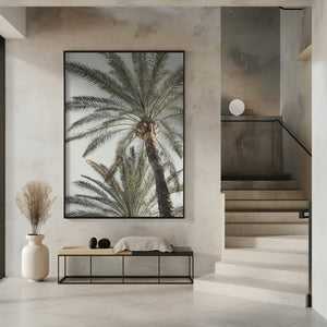 Tablou înramat „Palm_005” de Pictufy Studio III