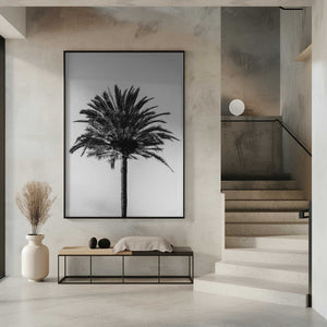Tablou înramat „Palm_003” de Pictufy Studio III