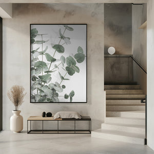 Tablou înramat „Eucalyptus_003” de Pictufy Studio III