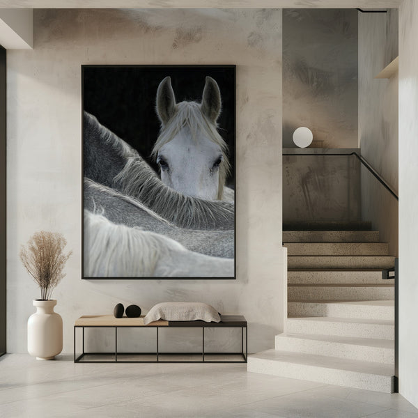 Tablou înramat „Look” de Milan Malovrh