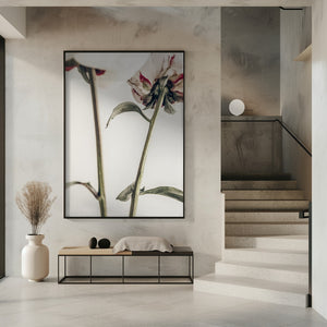 Tablou înramat „Peony 01” de Pictufy Studio III