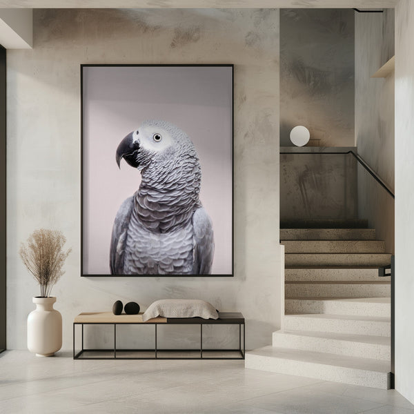 Tablou înramat „African Grey” de Kathrin Pienaar