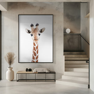 Tablou înramat „Baby Giraffe” de Kathrin Pienaar