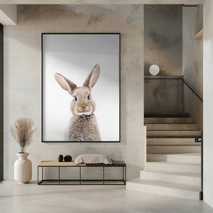 Tablou înramat „Baby Rabbit” de Kathrin Pienaar