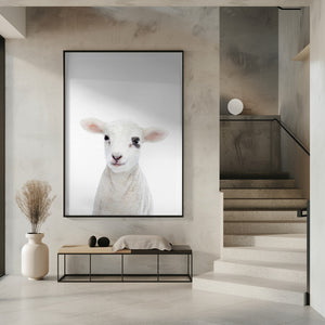 Tablou înramat „Baby Lamb” de Kathrin Pienaar