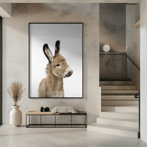 Tablou înramat „Baby Donkey” de Kathrin Pienaar