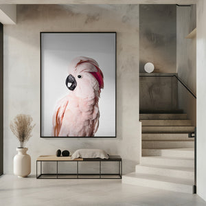 Tablou înramat „Pink Cockatoo” de Kathrin Pienaar