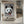 Tablou înramat „cat on panda bear” de Adam Lawless