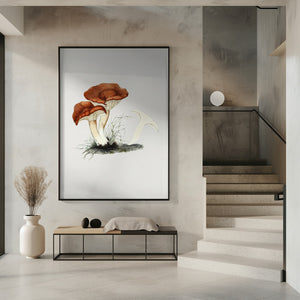 Tablou înramat „Hand Drawn Rufous Milkcap Mushroom” de Biodiversity Heritage Library