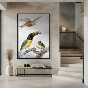 Tablou înramat „Three Birds  a Kingfisher, a Prince Von Wied's Toucan and an Sparrow” de Aert Schouman