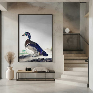 Tablou înramat „A Duck” de Aert Schouman