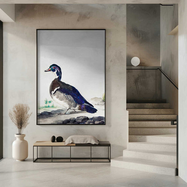 Tablou înramat „A Duck” de Aert Schouman