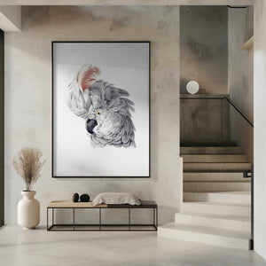Tablou înramat „Cockatoo Head” de Aert Schouman