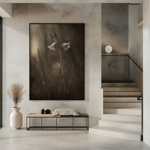 Tablou înramat „A small flower on the ground” de Allan Wallberg