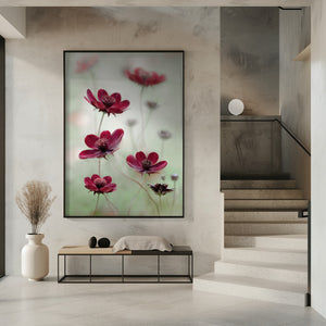 Tablou înramat „Cosmos sway” de Mandy Disher