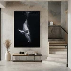 Tablou înramat „Black Whale” de Barathieu Gabriel